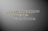 Introduccion al pedagogia