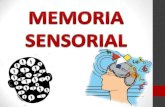 Psicología General I - Memoria Sensorial