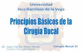 TEMA 1 ( CIRUGÍA II - Dr. WALTER LOZANO ) PRINCIPIOS BÁSICOS DE LA CIRUGÍA BUCAL