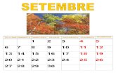 Calendari 2010 2011