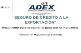 Revalora 2010   seguro c exportacion - adex