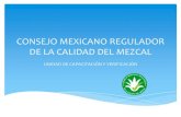 Consejo mexicano regulador de la calidad del mezcal