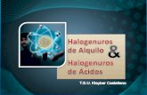 Halogenuros de Alquilo y Halogenuros de Acidos