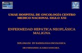 Copia de clase lesiones hepaticas malignas 2