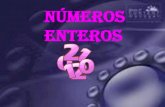 Numeros -enteros-1233268258069795-1 modificado