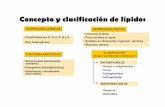 Bio2  4 Lipidos