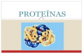 Presentación proteínas