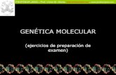 Ejercicios Genetica Molecular
