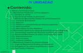 Unidad iv-metodos-de-fitomejoramiento-2009
