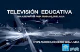 Televisi³n  educativa