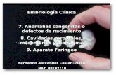 Embriologiaclinica 1mes-100301214748-phpapp02