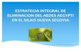 Estrategia integral de eliminacion del aedes aegypti por el Ministerio de Salud de Nicaragua