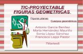 Tic proyectable