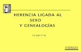 Clase 24; herencia ligada al sexo y genealogías
