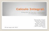 Calculo integral