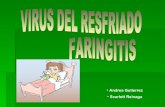 Resfriado y faringitis