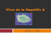 Hepatitis a 'completo'