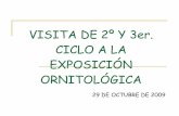 El CEIP Hernández Cánovas visita la exposición ornitológica-