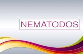 Nematodos y triquinosis