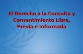 El derecho a la consulta y consentimiento libre, previa e informada