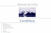 Bioma de Chile Cordillera
