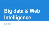 Big data & web intelligence