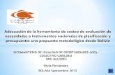 Adecuación de la herramienta de costeo de evaluación de necesidades a instrumentos nacionales de planificación y presupuesto: una propuesta metodológica desde Bolivia