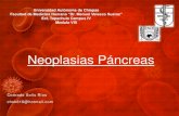 Neoplasias pancreas