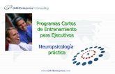Sumicol Neuropsicologia X Comerciales Agosto 07 Evaluacion