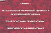 Unidad 7.- Reproducción asexual