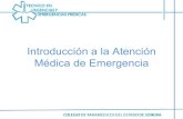 Introducción a la atención médica de emergencias