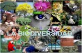 Importancia Biodiversidad Irene