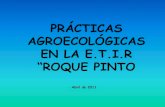 Prácticas Agroecológicas en la ETIR Roque Pinto