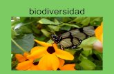 Aleja biodiversidad