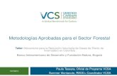 Metodologías para el Sector Forestal-  Taller Natura Colombia 26- 07- 13 VCS