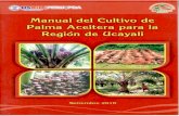 Manual del Cultivo de Palma aceitera para la región Ucayali
