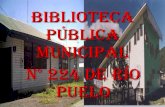 Inauguración Biblioteca Río Puelo