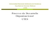 Desarrollo Organizacional De La   Utes ComisióN Chiquita Ii