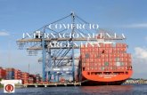 Comercio internacional en la argentina