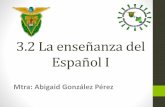 Encuadre de la asignatura de la enseñanza del español
