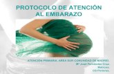 Control del embarazo de bajo riesgo en Atención Primaria. MªJosé Fernández Cruz