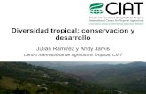 Julian R - Diversidad tropical, conservacion y desarrollo