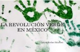 La revolución verde en México