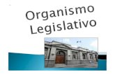 Informe organismo legislativo