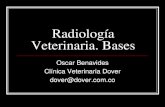 Bases de Radiologia Veterinaria