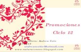 Promo ciclo 12 2010