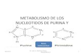 Metabolismo de los nucleotidos de purina y pirimidina