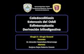 Cirugía   coledocolitiasis y estenosis del esfinter de oddi. derivación biliodigestiva y esfinteroplastía