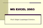 M S  Excel 2003