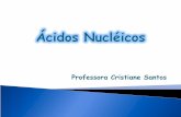 áCidos nucléicos 2011